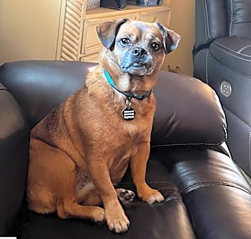 Photo of Maddie
