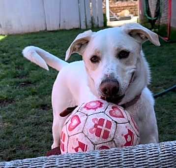 Photo of Maya