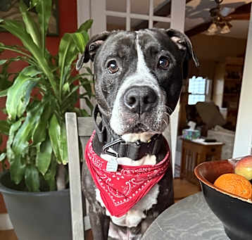 Photo of TUCKER