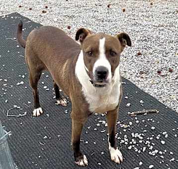Photo of Sally