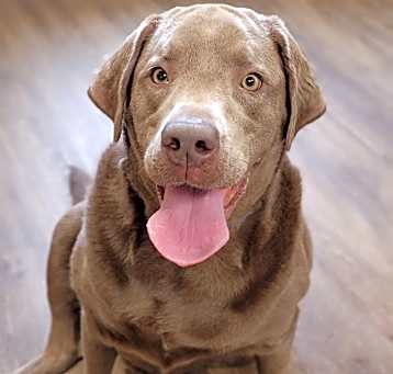Photo of Beasly