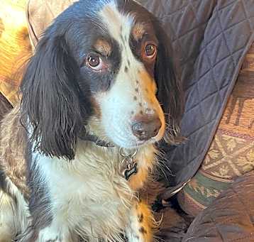 Photo of Derby