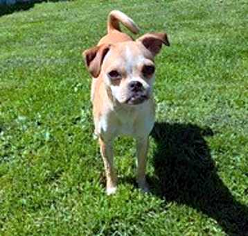Photo of Tito's Sunshine