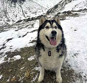 Photo of Raz