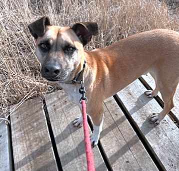 Photo of Jameson