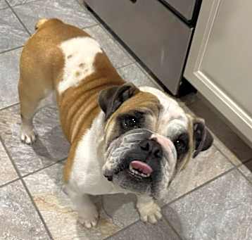 Photo of Lily
