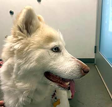 Photo of Elsa