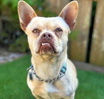 Photo of Paco