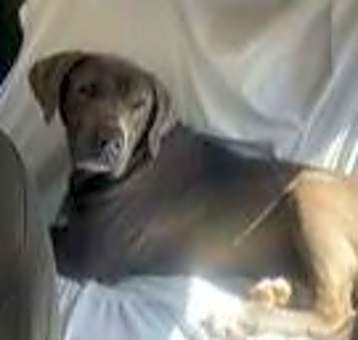 Photo of Skye