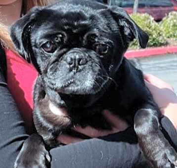 Photo of Betty