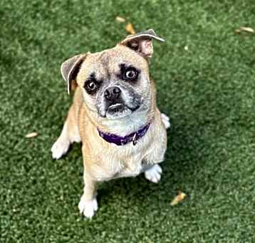 Photo of Frannie