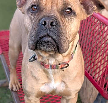 Photo of Reggie
