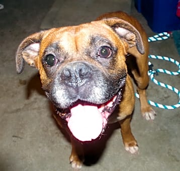 Photo of HOLLY