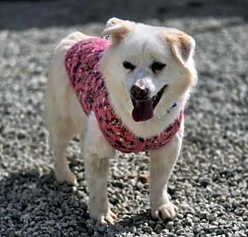 Photo of Coco