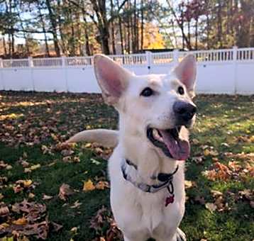 Photo of Coco