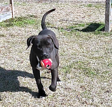 Photo of Chili