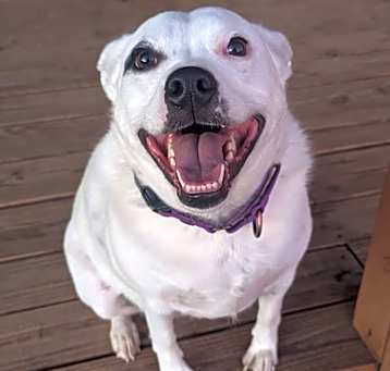 Photo of Jewels