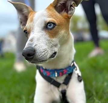 Photo of Dottie