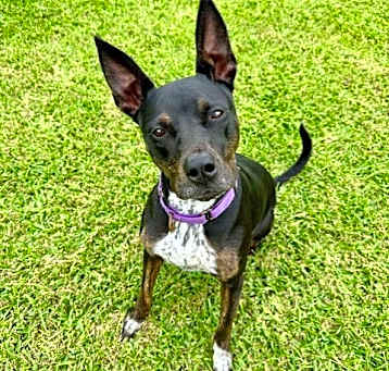 Photo of DAISEY