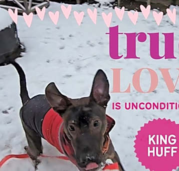 Photo of KING HUFF