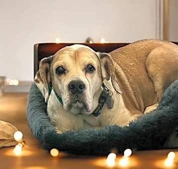 Photo of Fritz