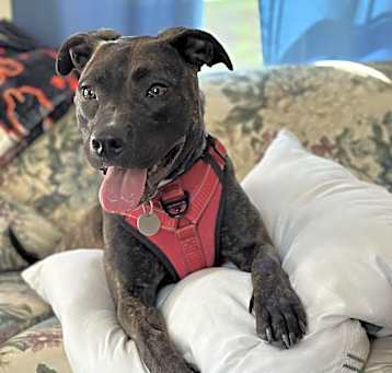 Photo of Brenda