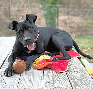 Photo of Rogan