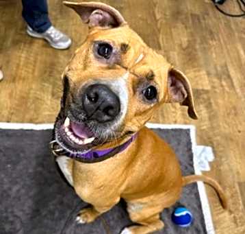 Photo of Charity