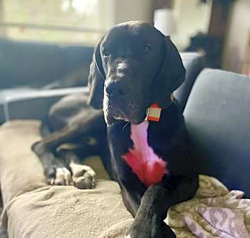 Photo of Denny