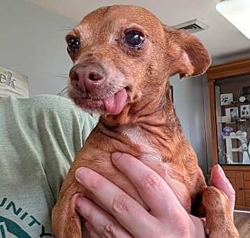 Photo of Big Red