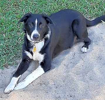 Photo of Socks