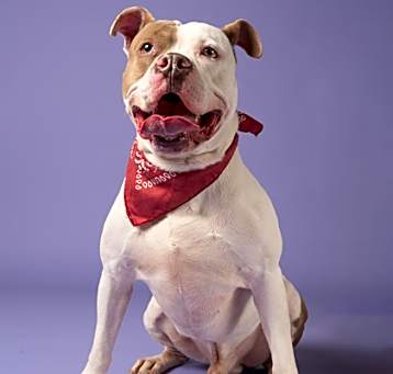 Photo of Scooch Ova