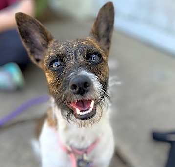 Photo of Roo Roo