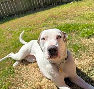 Photo of Skylar