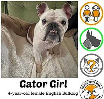 Photo of Gator Girl