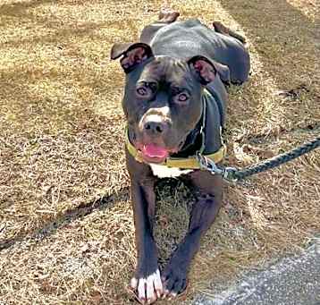 Photo of Derby