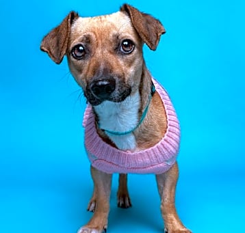 Photo of Ginny