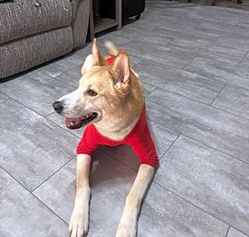 Photo of Alibi