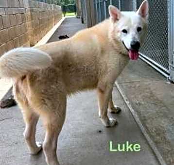 Photo of Luke