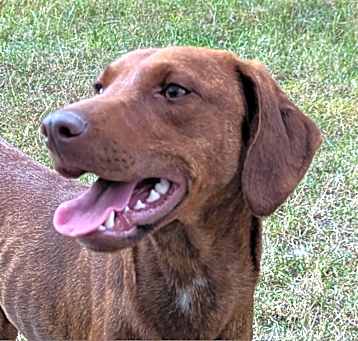 Photo of Gemma 24-0648