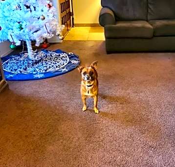 Photo of Maggie