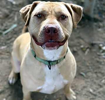 Photo of BILLY