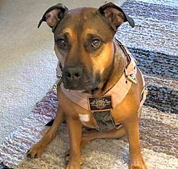 Photo of Echo