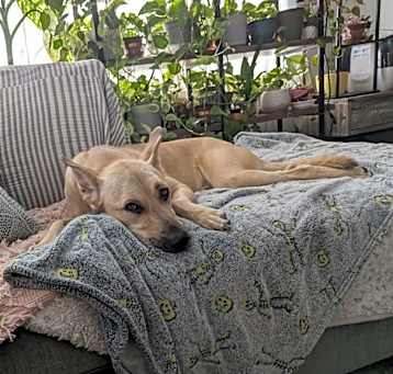 Photo of Starbuck
