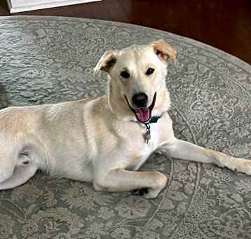 Photo of Finnegan