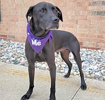 Photo of Bentley