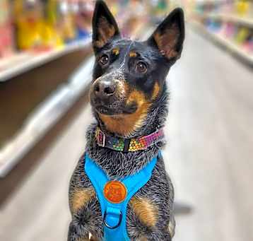 Photo of Jade-Foster needed!