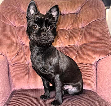 Photo of Mavis
