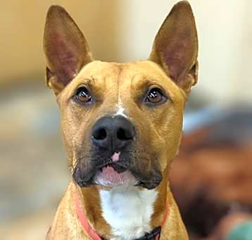 Photo of Bingo