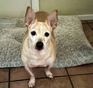 Photo of Lizzie